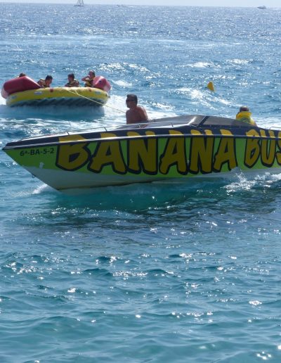 Imagen de la galería - P1030494 400x516 1