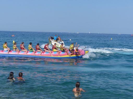 Imagen de la galería - P1030551 510x382 1